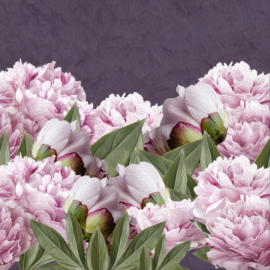 Peonías Standard