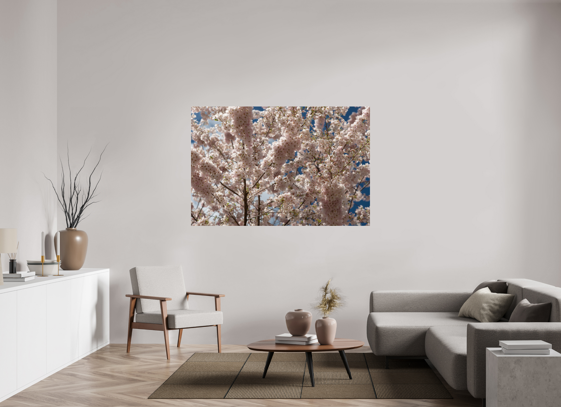 66 x 44″, Fotos Male Cerezo en flor