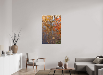 30 x 45″, Fotos Male Reflejo arboles 8