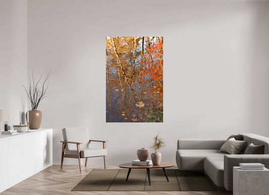 44 x 66″, Fotos Male Reflejo arboles 8