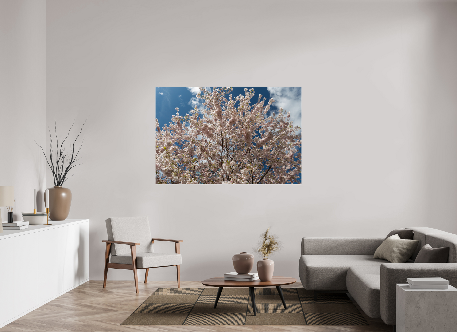66 x 44″, Fotos Male Cerezo en flor 4
