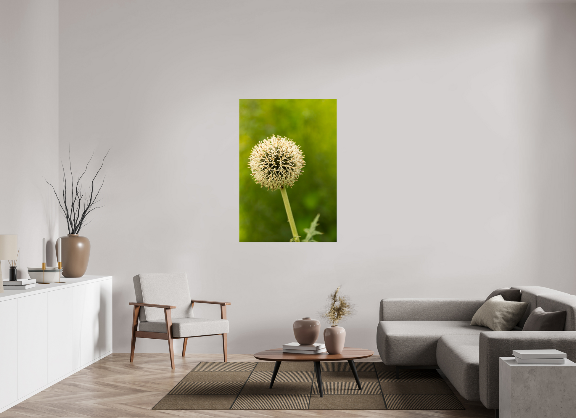 35 x 51.4″, Fotos Male Ajo ornamental