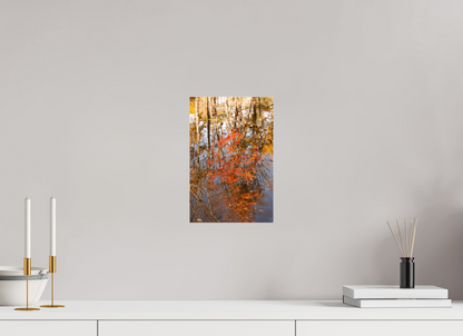 8 x 12″, Fotos Male Reflejo arboles 6