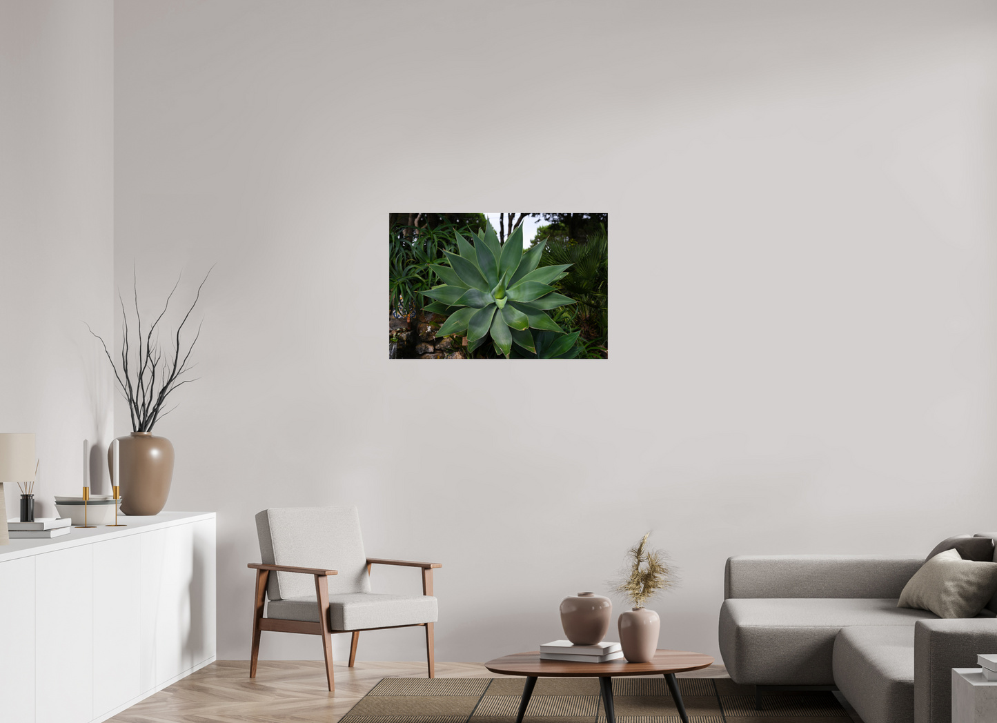 36 x 24″, Fotos Male Aloe Americano