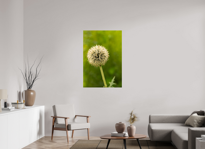 31 x 45.6″, Fotos Male Ajo ornamental
