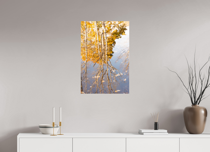 20 x 30″, Fotos Male Reflejo arboles 3