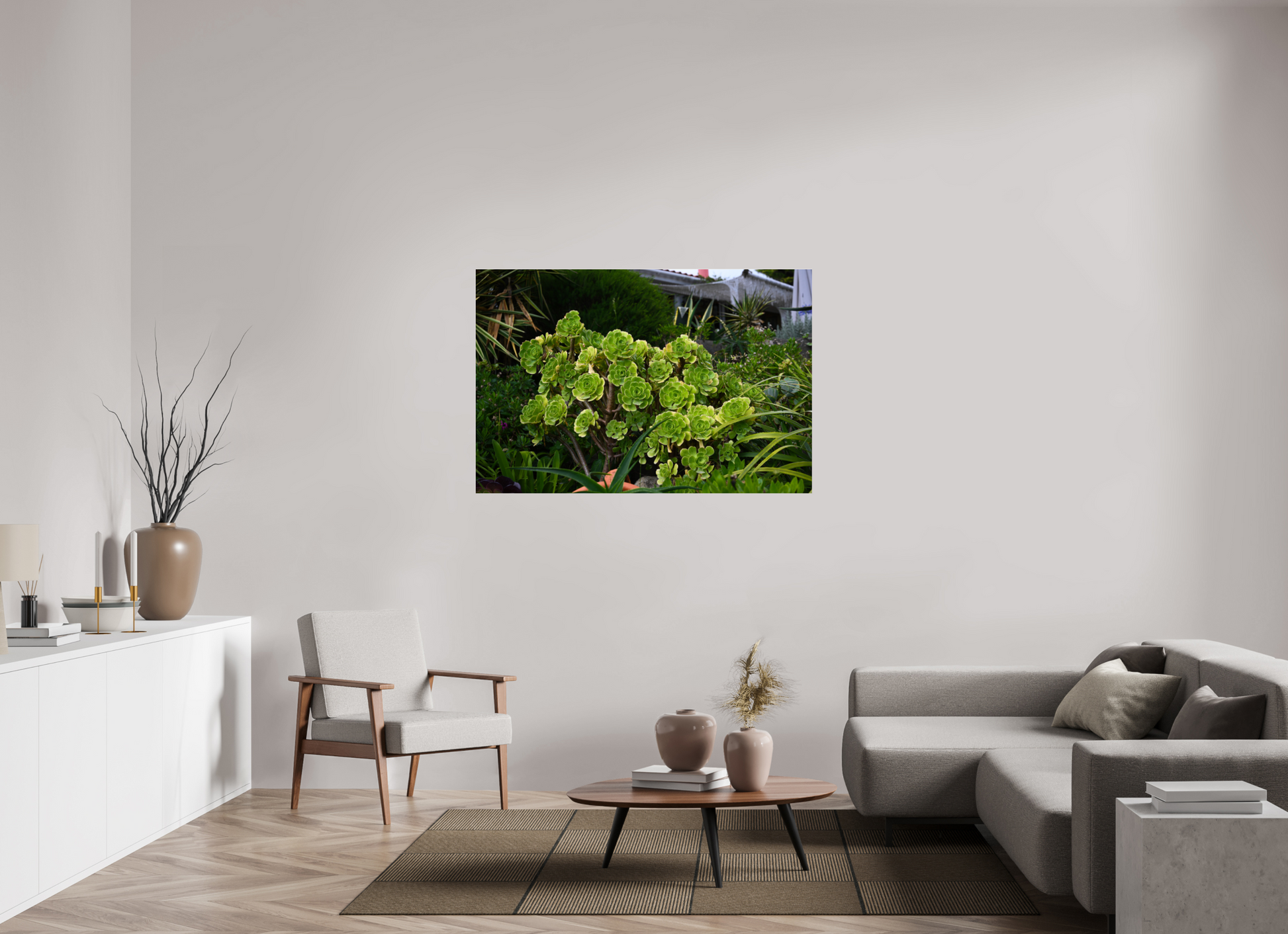 54 x 36″, Fotos Male Rosa Arbórea