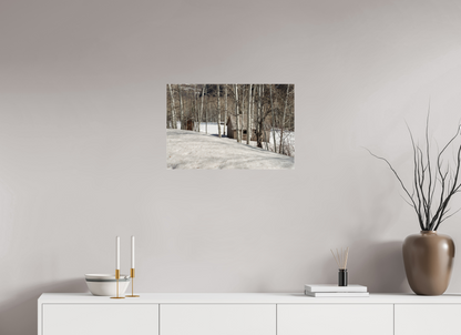 24 x 16″, Fotos Male Casa en la nieve