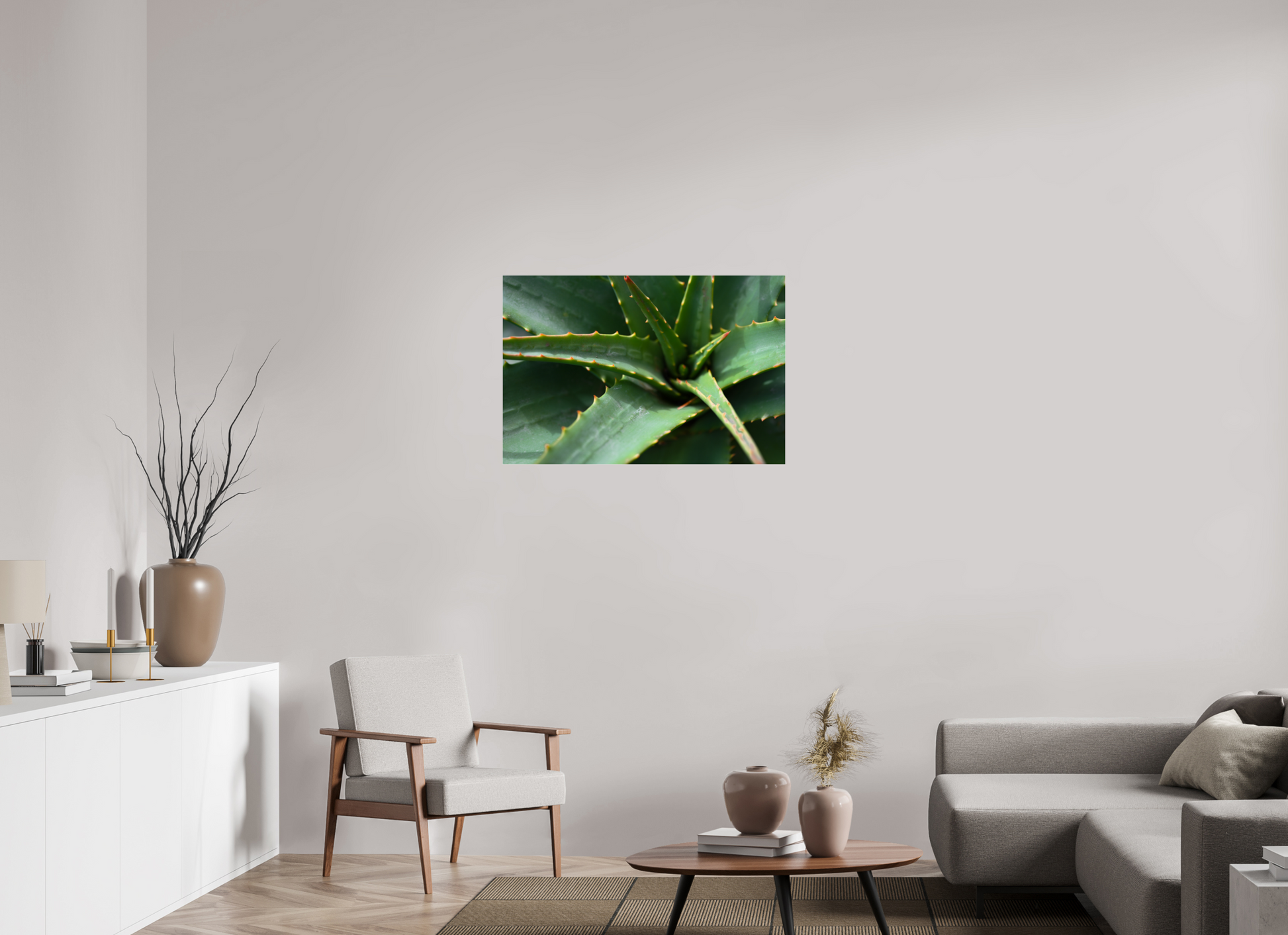 36 x 24″, Fotos Male Aloe Vera 3