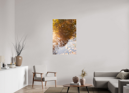 30 x 45″, Fotos Male Reflejo arboles 11
