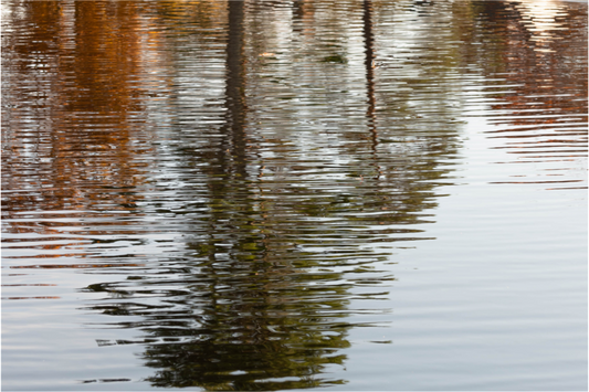 Main image Reflejo en el agua 4