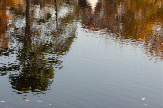 Main image Reflejo en el agua