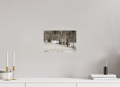 12 x 8″, Fotos Male Casa en la nieve