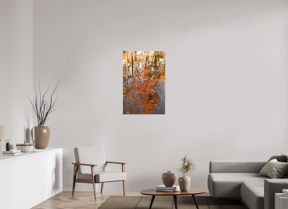24 x 36″, Fotos Male Reflejo arboles 6