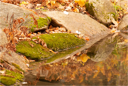 Main image Rocas en el rio 2
