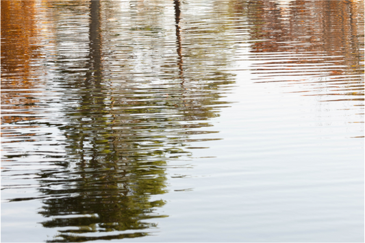 Main image Reflejo en el agua 5