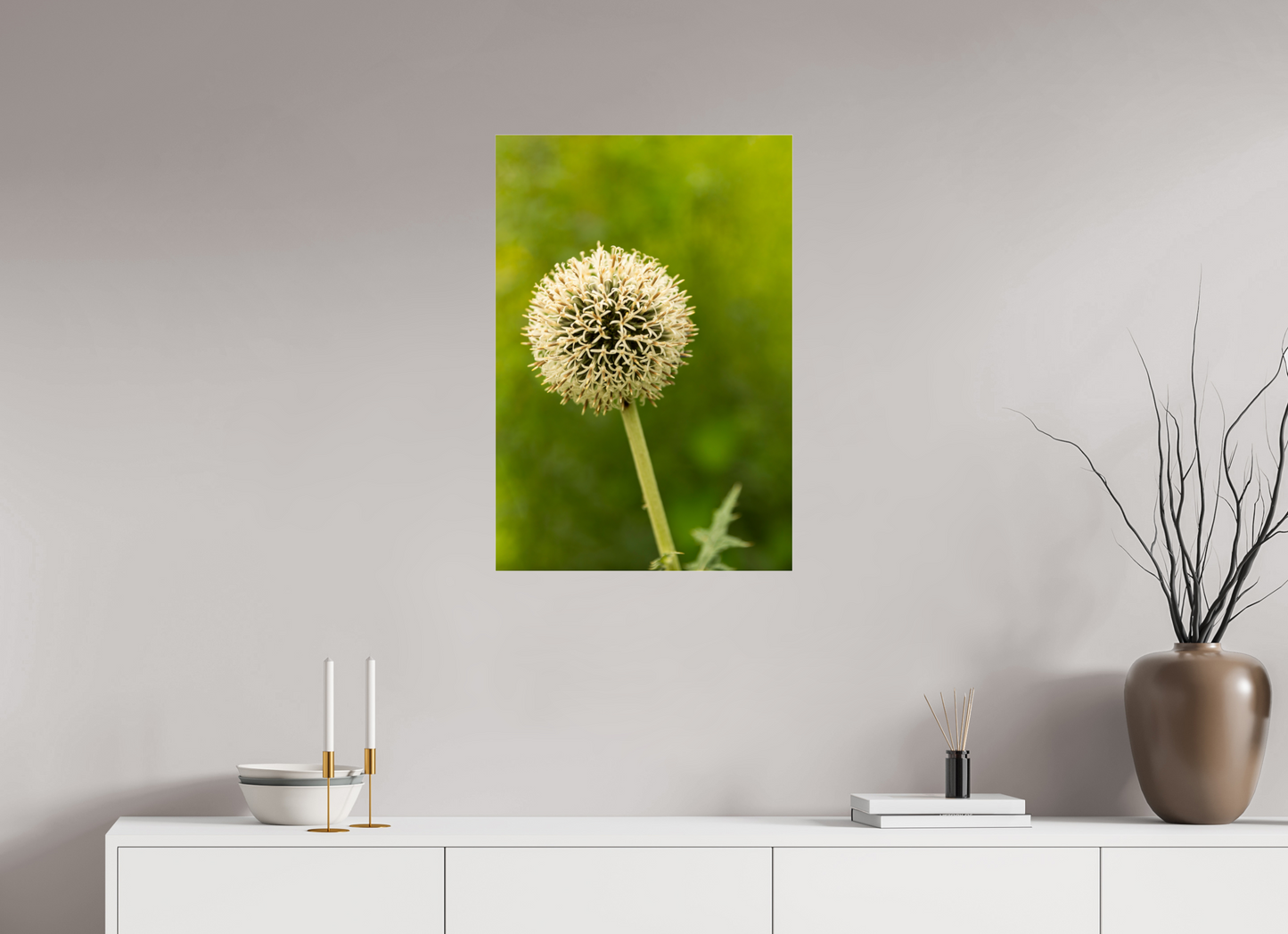 20 x 29.4″, Fotos Male Ajo ornamental