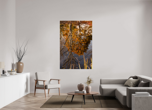 44 x 66″, Fotos Male Reflejo arboles