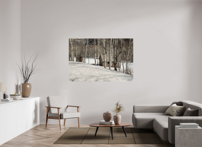66 x 44″, Fotos Male Casa en la nieve