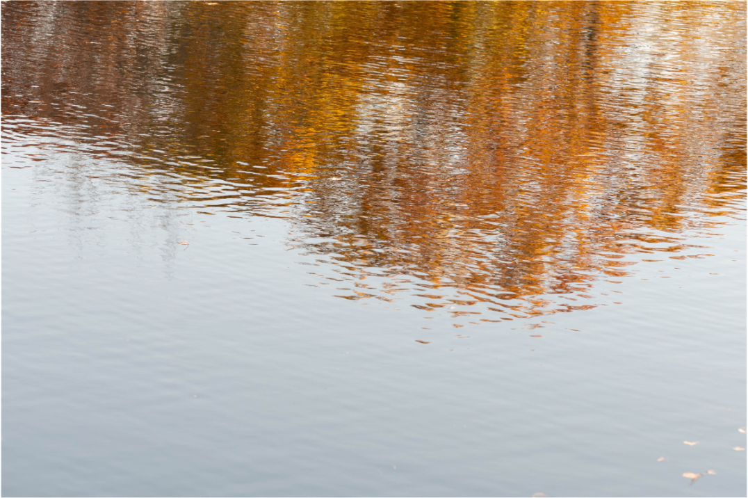 Main image Reflejo en el agua 2