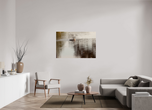 54 x 36″, Fotos Male Patos en el agua 2