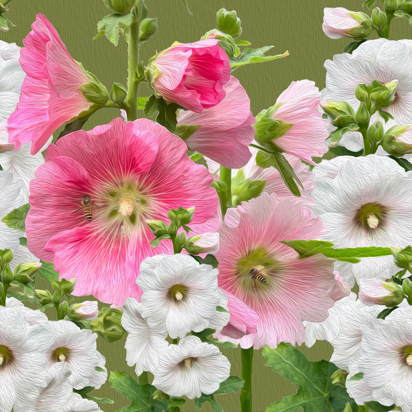 Malvarrosas Premium