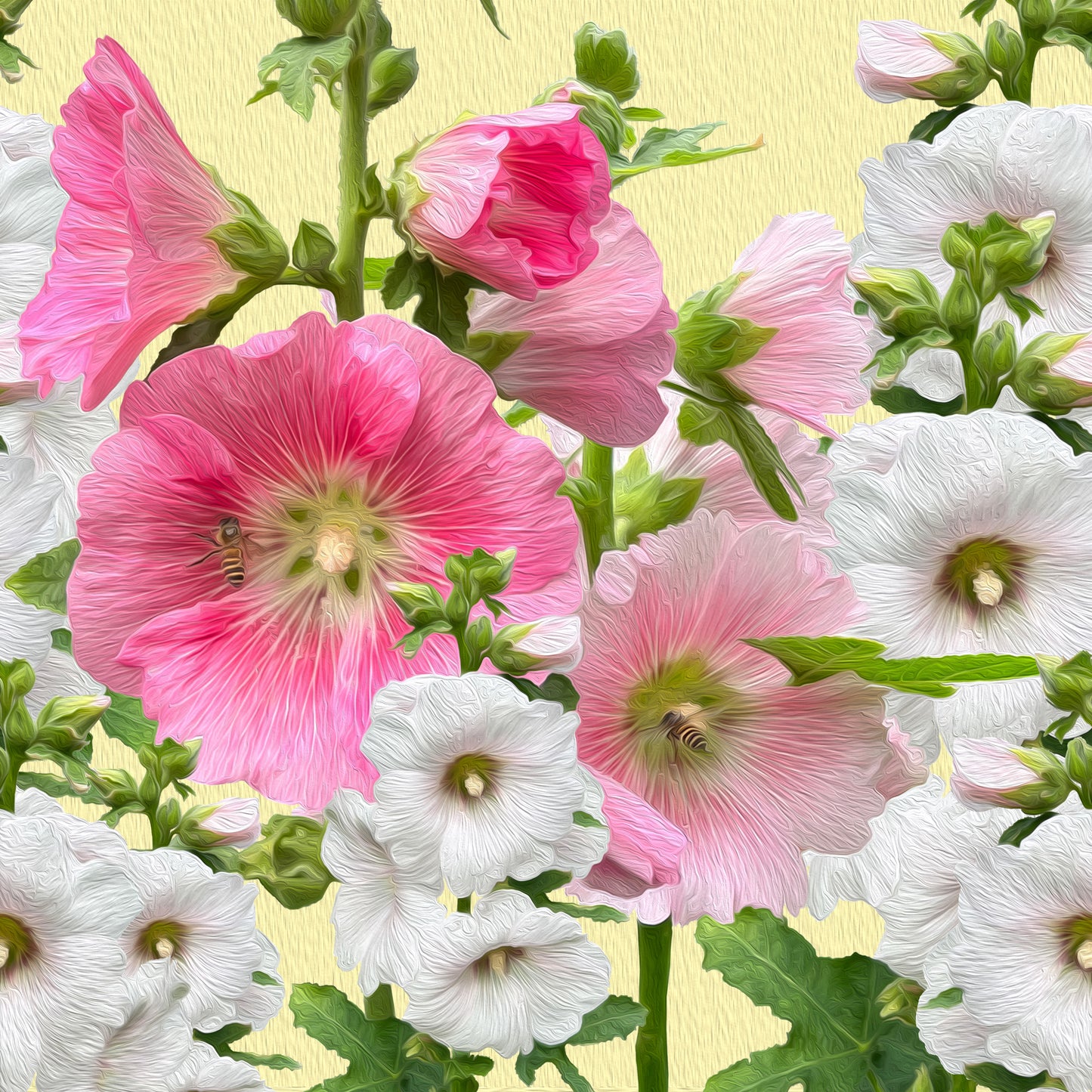 Malvarrosas Premium